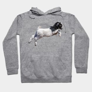 Jumping Baby Goat Hoodie